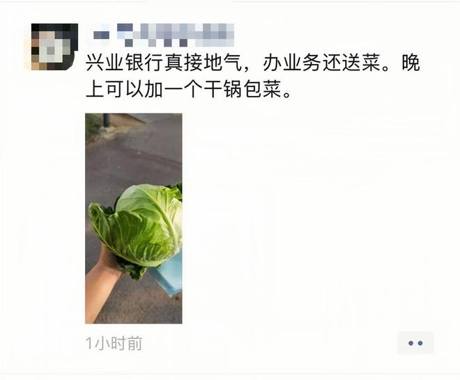 希望在兴业人的手心发芽K8凯发登录翡翠田的(图7)